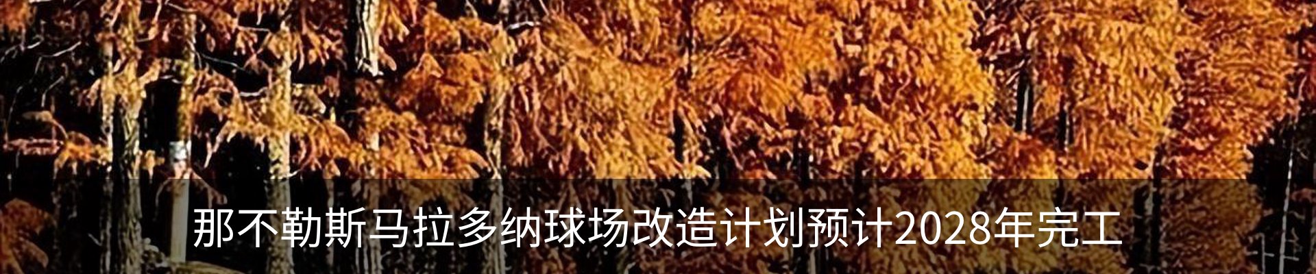 行业资讯